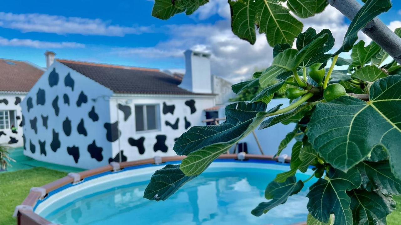 Azores Cow House Calhetas Exteriör bild